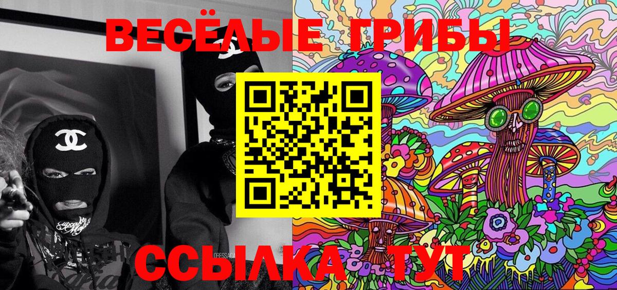 Ачхой-Мартан  Галлюциногенные грибы Psilocybe  Вход с VPN 